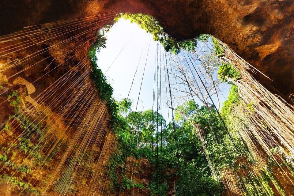 Looking up from inside a cenote, long vines hang from the opening surrounded by lush jungle against a bright sky.