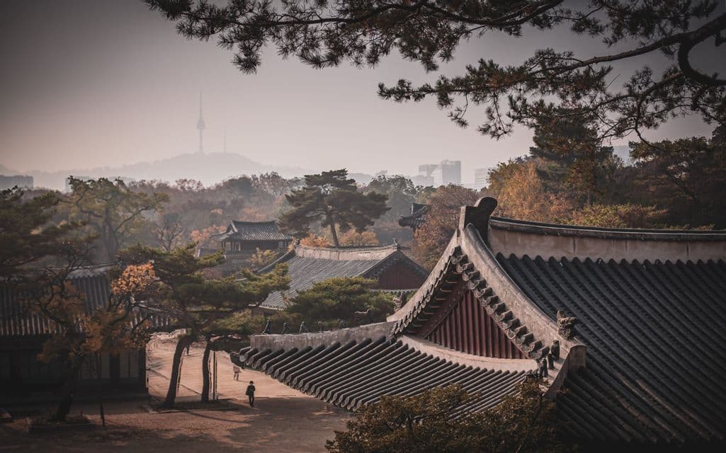 A view over traditional temple roofs surrounded by autumn trees, with a modern city and tower visible through the distant haze.