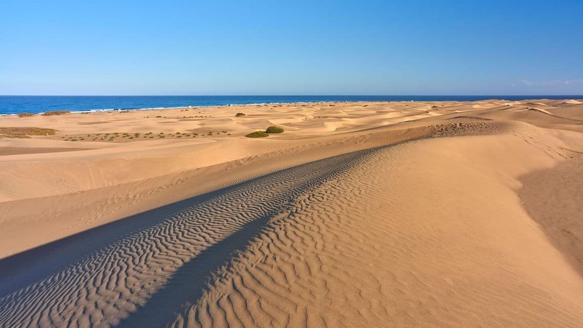 De vastes dunes de sable avec des ondulations et des ombres s'étendent vers l'océan bleu sous un ciel clair.