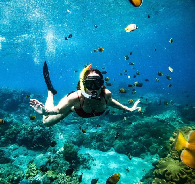 Une femme en maillot de bain rouge fait de la plongée avec tuba sous l'eau, nageant parmi un banc de poissons au-dessus d'un récif corallien.