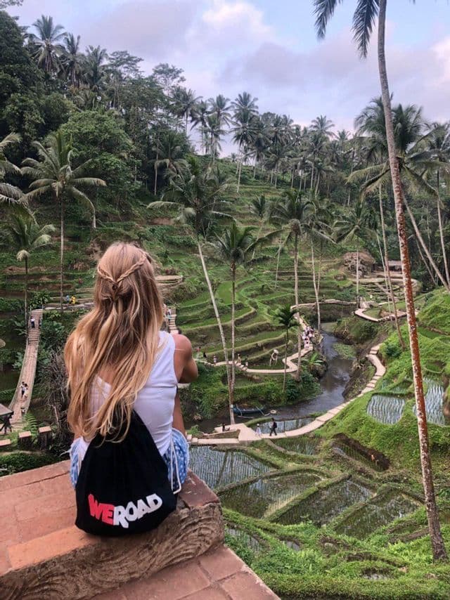 Una mujer con una mochila WeRoad está sentada en un saliente con vistas a un valle de arrozales verdes en terrazas y altas palmeras.