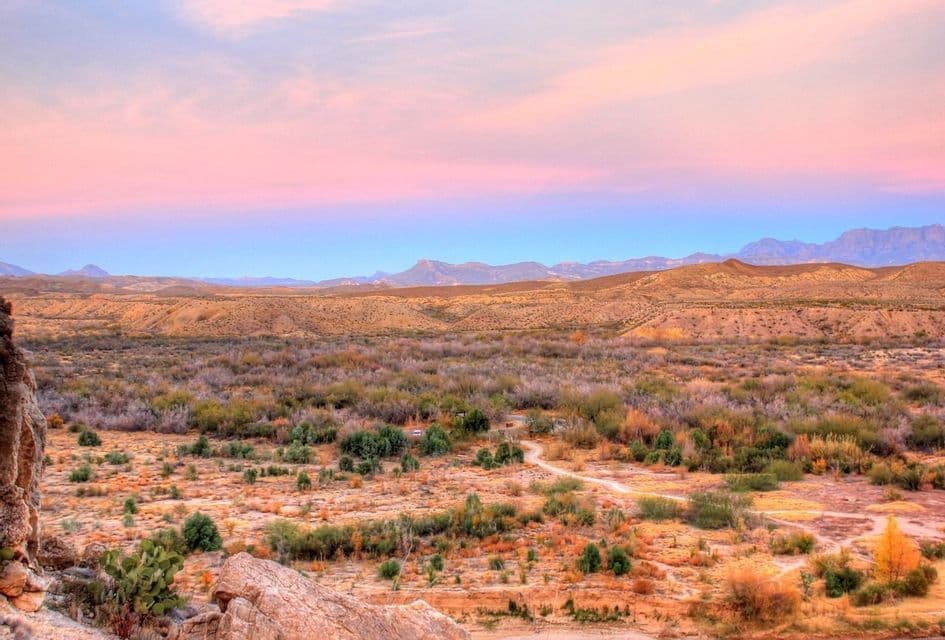 Una valle desertica con arbusti e un sentiero sterrato tortuoso, con montagne sullo sfondo sotto un cielo rosa e blu al tramonto.