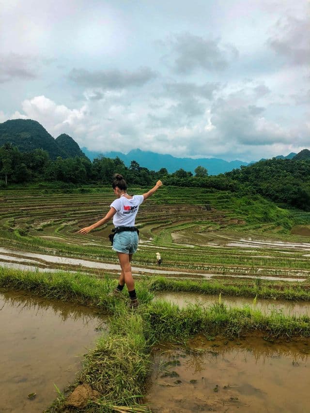 Une participante d'un voyage WeRoad se tient en équilibre sur un chemin étroit et herbeux, entre des rizières inondées et avec des montagnes verdoyantes en toile de fond.