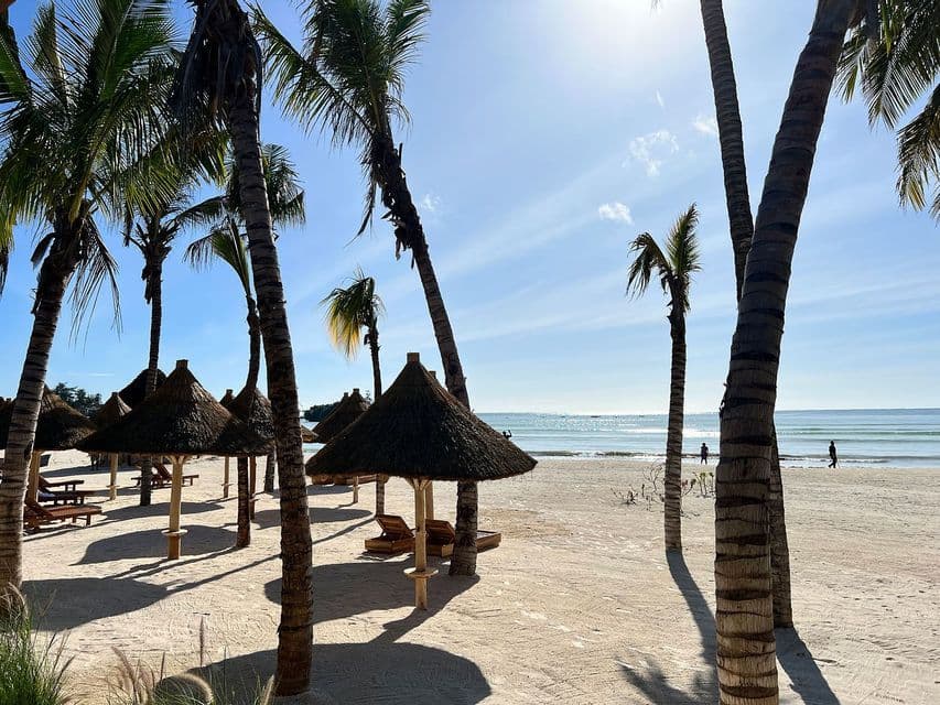 Alte palme proiettano ombre su ombrelloni di paglia e lettini su una spiaggia di sabbia bianca vicino all'oceano.