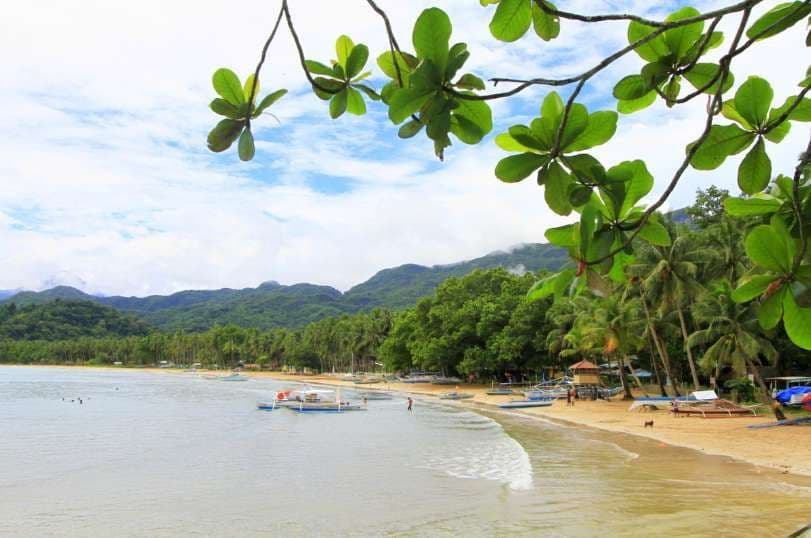 Un ramo d'albero frondoso incornicia una vista di una spiaggia tropicale sabbiosa con barche, palme e montagne verdi.