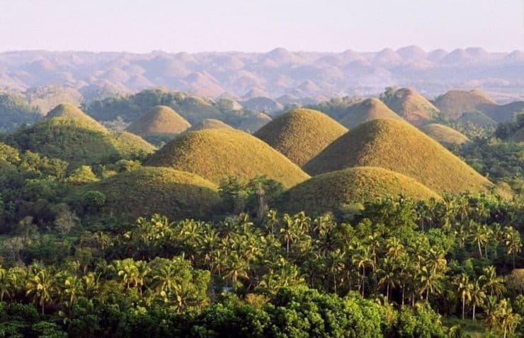Eine Landschaft mit zahlreichen kegelförmigen braunen Hügeln, üppigen grünen Palmen und Vegetation in den Tälern.