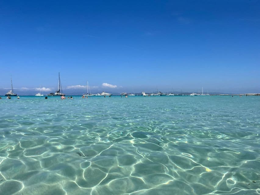 Gente nadando en agua clara y turquesa con numerosos veleros y yates anclados a la distancia bajo un cielo azul brillante.