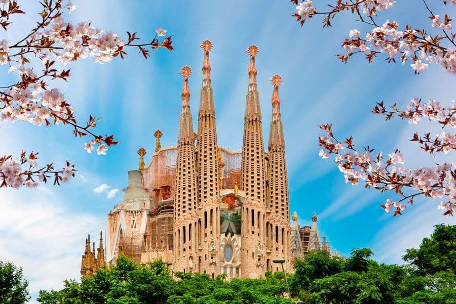 Une cathédrale ornée aux hautes flèches se dresse sous un ciel bleu, encadrée par des branches de cerisier roses et des arbres verts.