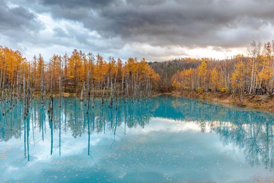 Tronchi d'albero spogli emergono da uno stagno turchese, riflettendo una fitta foresta con fogliame autunnale dorato sotto un cielo nuvoloso.