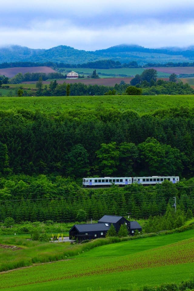 Un treno bianco attraversa un paesaggio lussureggiante di foreste verdi e dolci colline con case sparse sottostanti.