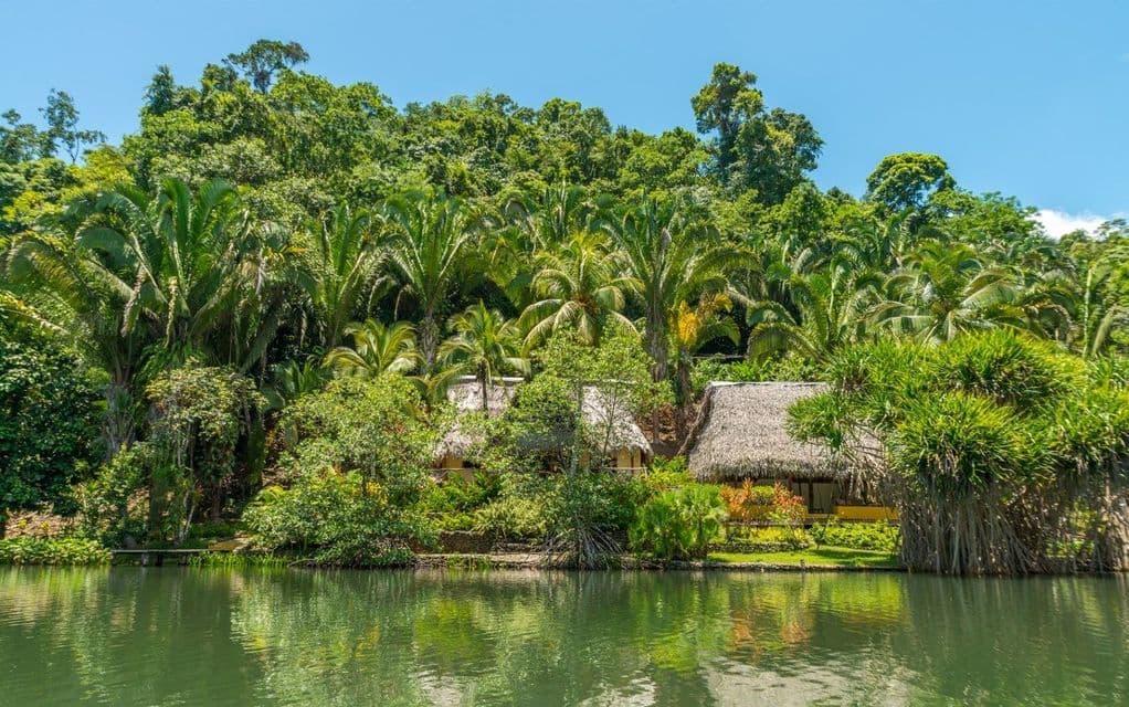 Capanne con tetti di paglia si adagiano sul bordo di un fiume tranquillo, immerse in una fitta giungla tropicale con palme, sotto un cielo azzurro e limpido.
