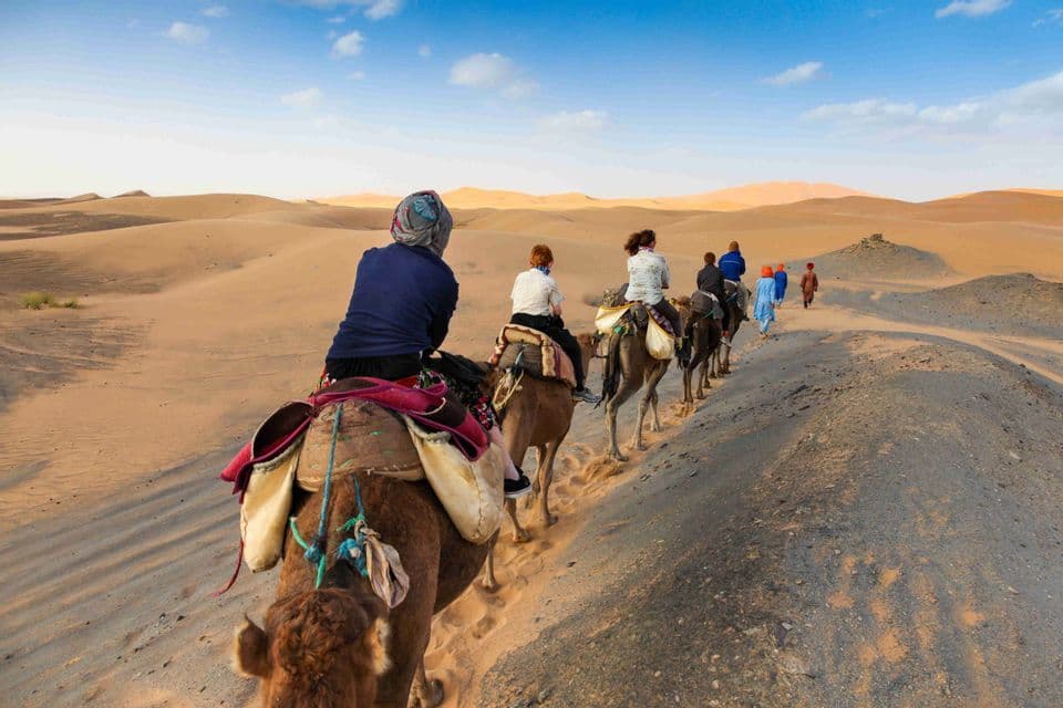 Un gruppo WeRoad cavalca cammelli in fila indiana attraverso le dune sabbiose del deserto sotto un cielo azzurro.
