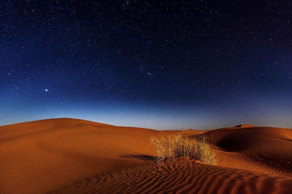 Dune di sabbia arancioni e ondulate con un ciuffo d'erba secca in primo piano sotto un cielo notturno scuro e stellato.