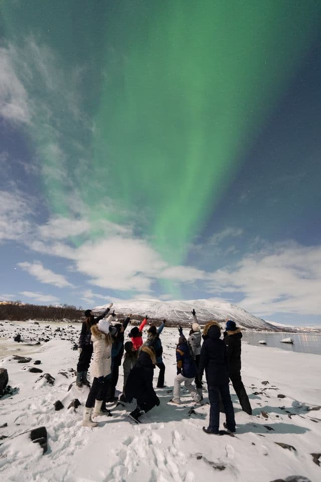 Un viaje en grupo de WeRoad con personas abrigadas en la nieve, señalando la aurora boreal verde en el cielo nocturno.