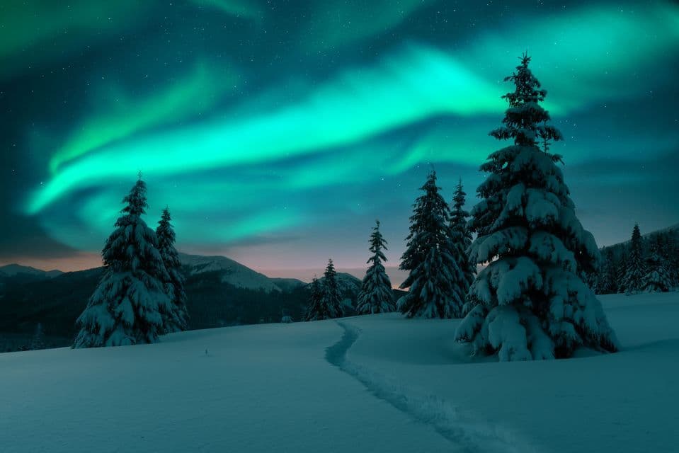 The green aurora borealis glows in a starry night sky above a snowy landscape with pine trees and mountains.