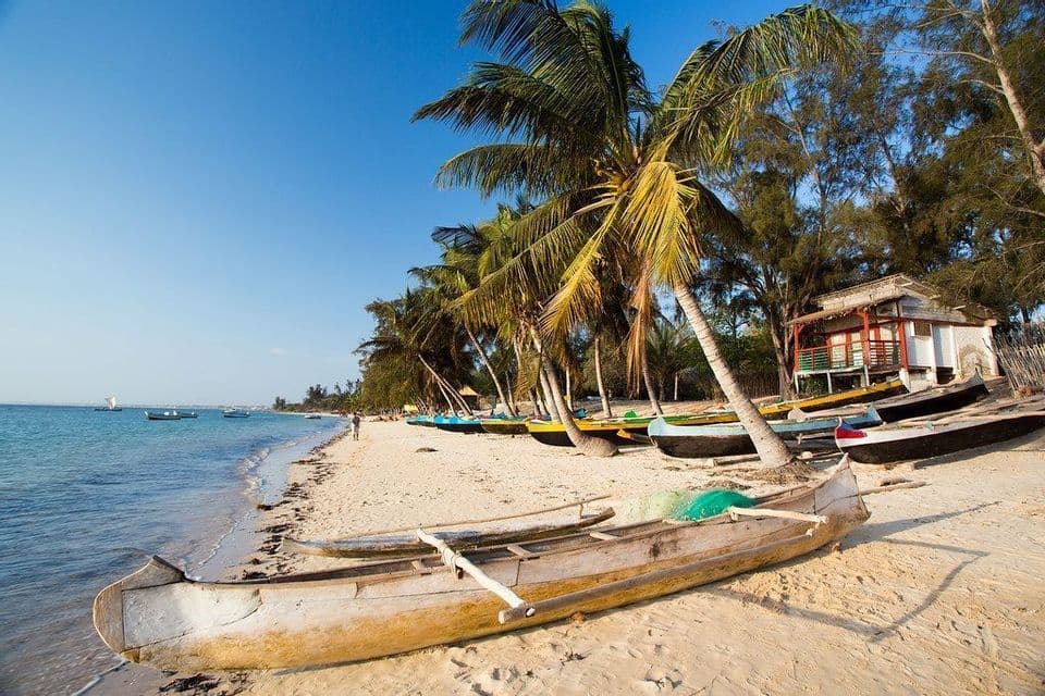 Canoas polinesias en una playa de arena con palmeras, el océano y una pequeña cabaña al fondo.