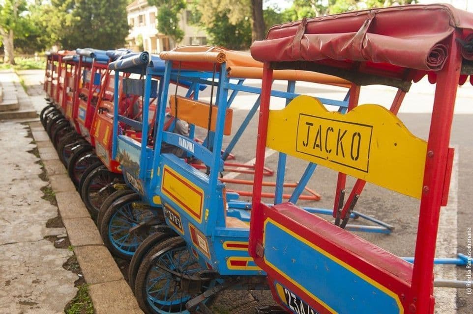 Una fila de coloridos bicitaxis rojos y azules estacionados en línea al costado de una calle, con árboles al fondo.