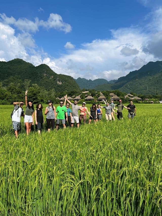 Un gruppo in viaggio con WeRoad si riunisce per una foto in una rigogliosa risaia verde, con montagne boscose sullo sfondo.