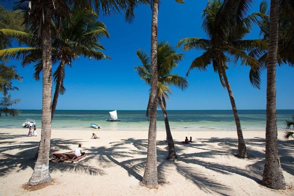 Le palme proiettano lunghe ombre su una spiaggia di sabbia bianca dove le persone si rilassano accanto a un oceano calmo sotto un cielo azzurro chiaro.