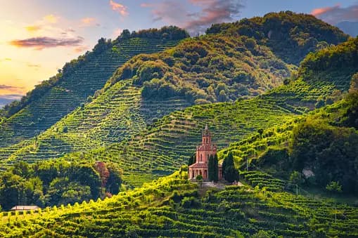 Una chiesa in mattoni con un campanile si trova su una collina circondata da rigogliosi vigneti a terrazze sotto un cielo al tramonto.