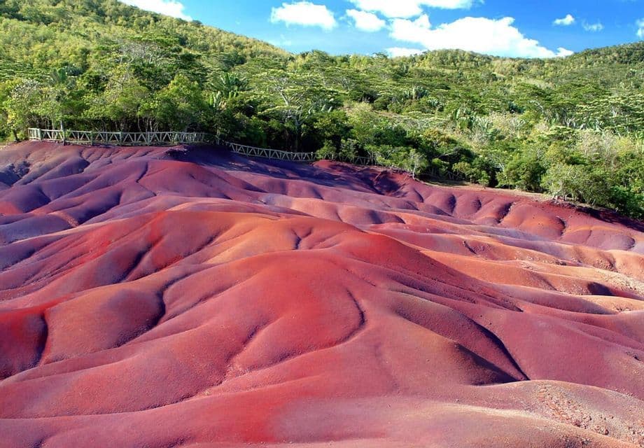 Dune ondeggianti di terra multicolore, con sfumature di rosso e viola, si stagliano contro una lussureggiante foresta verde sotto un cielo azzurro.