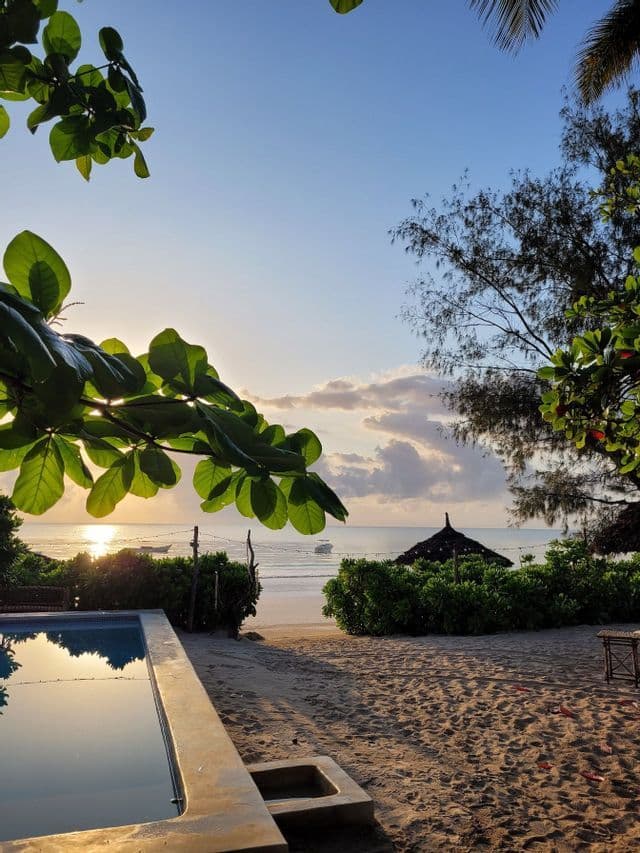 The sun rises over the ocean, viewed from a sandy beach with a swimming pool corner and lush tropical foliage.
