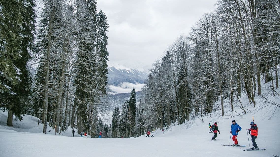 Un viaggio di gruppo WeRoad per sciare su un pendio montano innevato circondato da alti pini coperti di neve.
