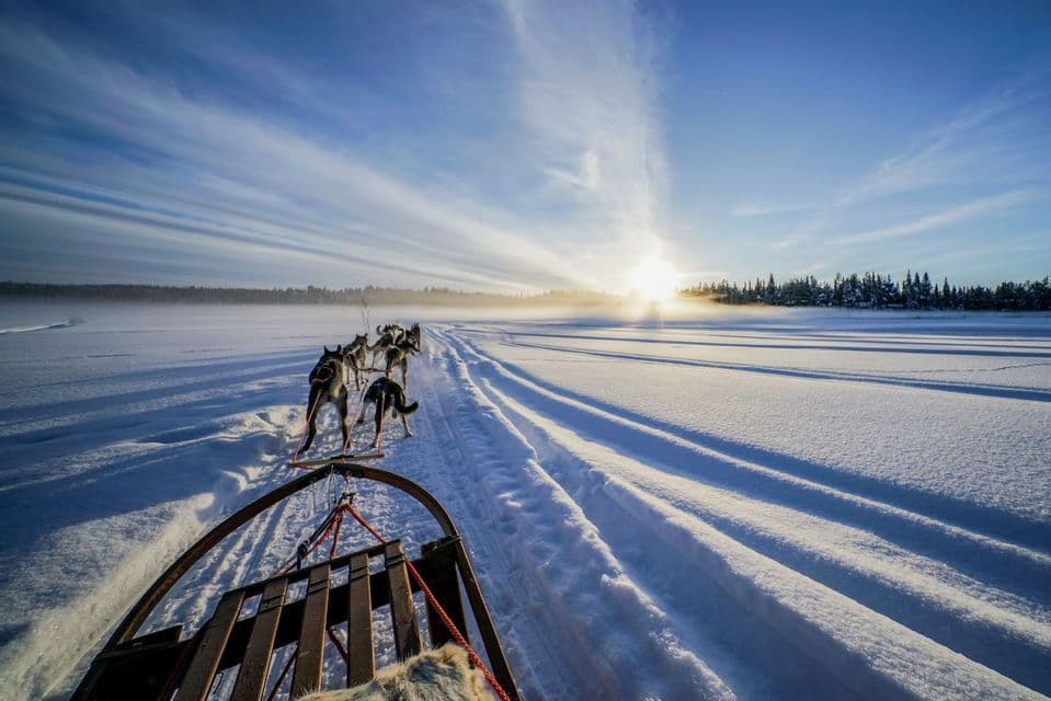 A team of huskies pulls a sled across a vast, snowy landscape at sunrise, seen from a first-person perspective.