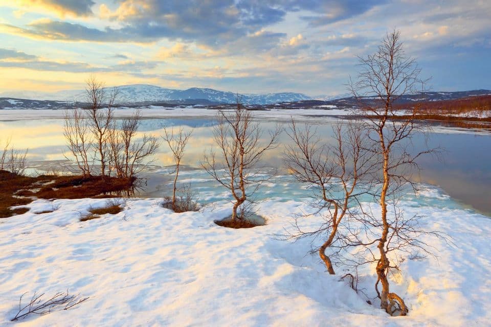 A snowy lakeshore with leafless trees, a partially frozen lake reflecting the sunset, and distant mountains under a cloudy sky.