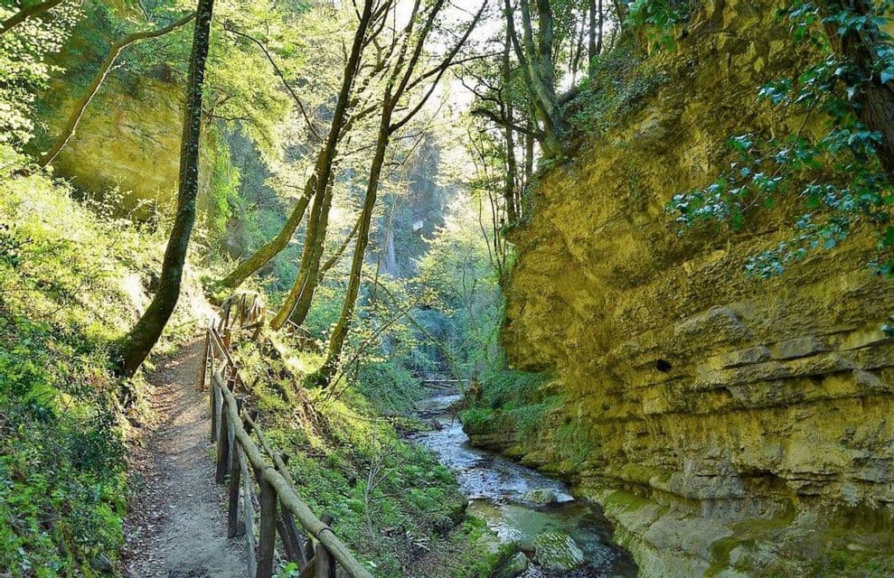 Un sentiero sterrato con una staccionata di legno segue un ruscello attraverso una gola rocciosa illuminata dal sole, ricca di alberi verdi.