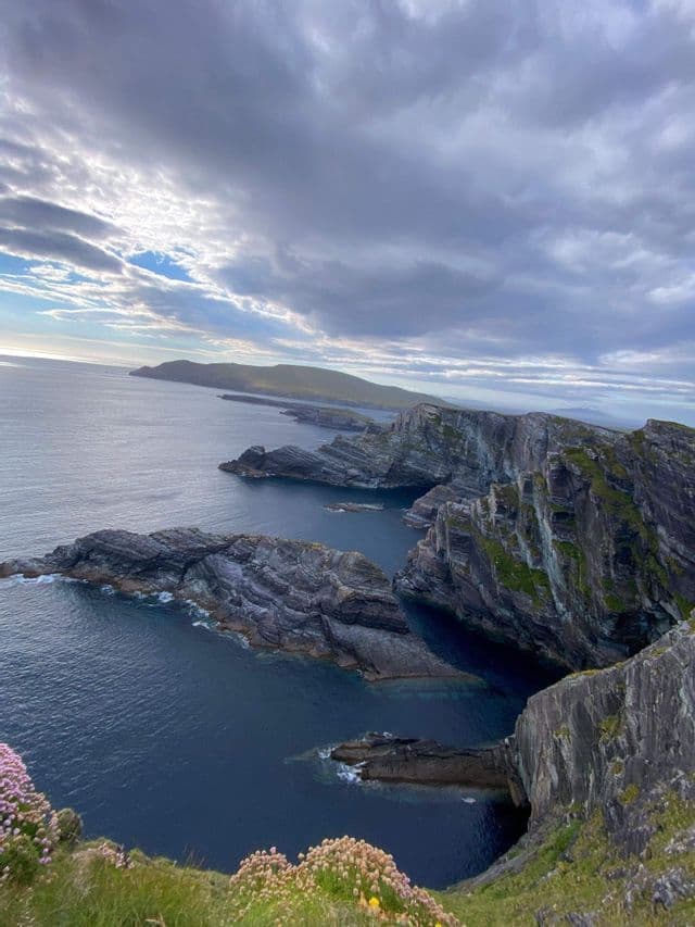 Veduta dall'alto di una costa rocciosa e frastagliata che si protende nel mare blu intenso sotto un cielo nuvoloso, con fiori selvatici in primo piano.