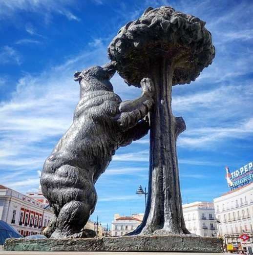 Una statua di bronzo di un orso in piedi sulle zampe posteriori, che si protende verso un albero in una piazza sotto un cielo blu.