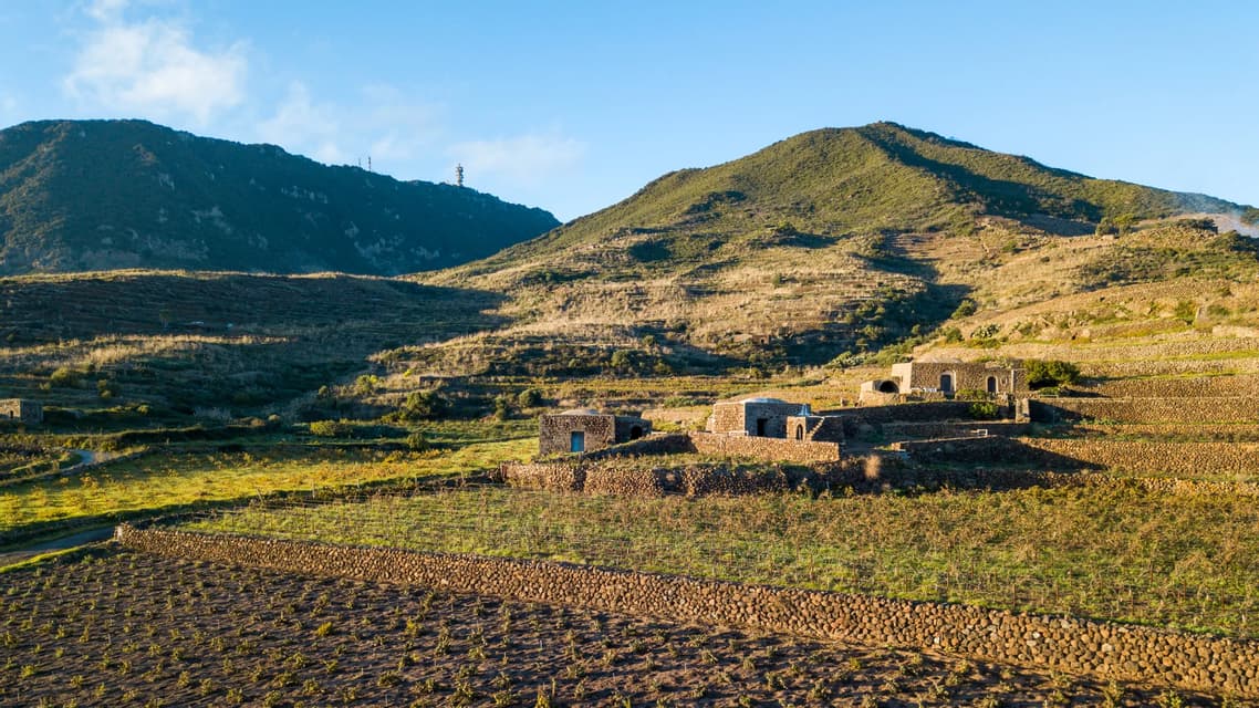 Antichi edifici in pietra su un pendio terrazzato e soleggiato, con vigneti e vegetazione verde.