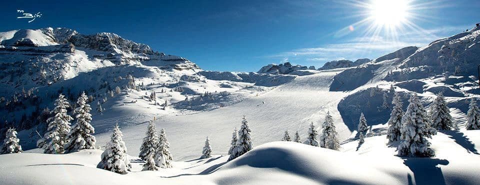 Un paesaggio invernale panoramico di montagne e pini coperti di neve sotto un sole splendente e un cielo azzurro chiaro.
