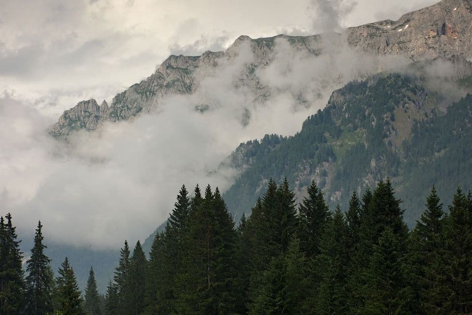 Cime rocciose si ergono sopra una fitta pineta, con nuvole che le avvolgono in una giornata grigia.