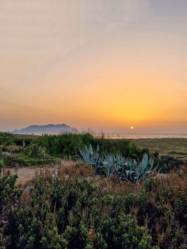 Una vista sulla vegetazione costiera e agavi al tramonto sull'oceano, con una catena montuosa in lontananza.