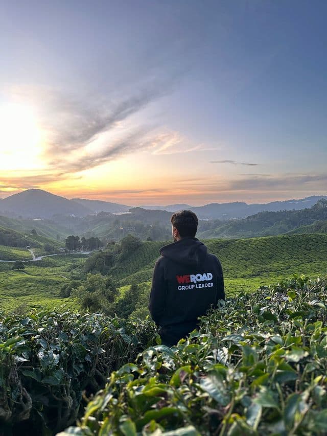 Un chef de groupe WeRoad en sweat à capuche noir contemple les plantations de thé verdoyantes et vallonnées au lever du soleil.