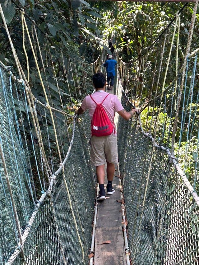Un gruppo WeRoad cammina in fila indiana su uno stretto ponte sospeso di corda, circondato da una fitta vegetazione della giungla.