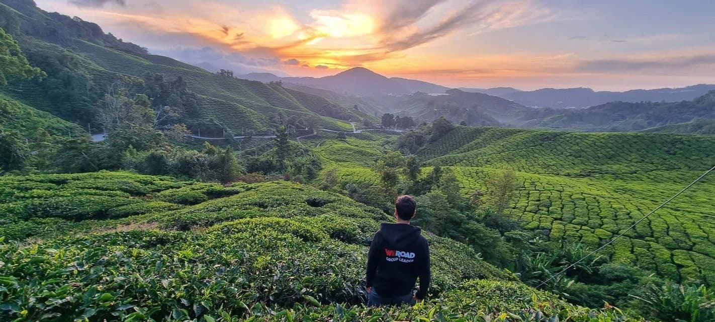 Un chef de groupe WeRoad en sweat à capuche noir contemple les collines verdoyantes d'une plantation de thé au coucher du soleil.