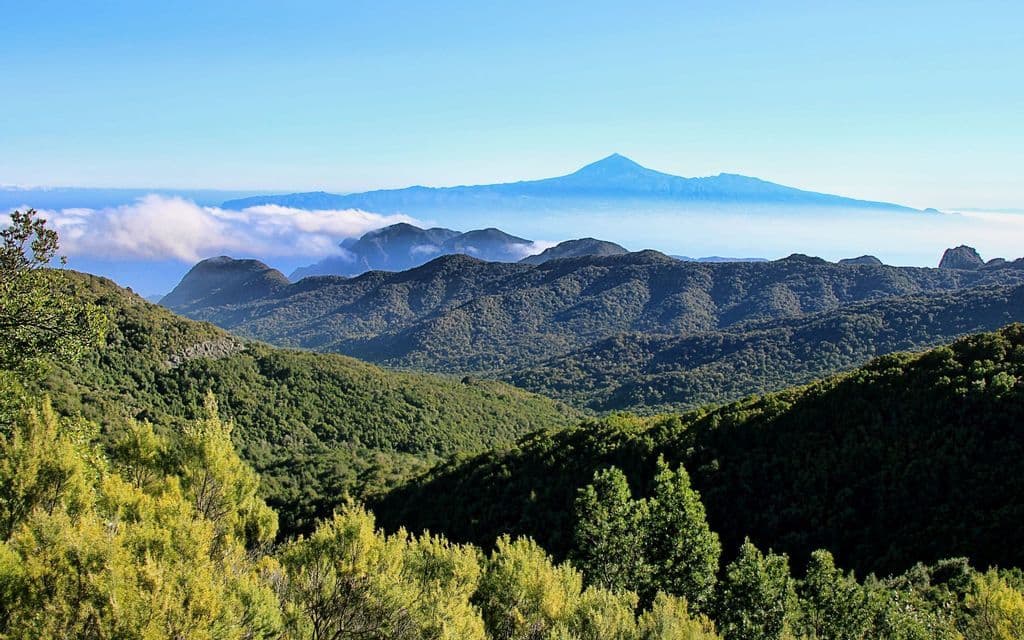 Una vista su verdi colline boscose verso una lontana cima vulcanica che si erge sopra uno strato di nuvole sotto un cielo blu.