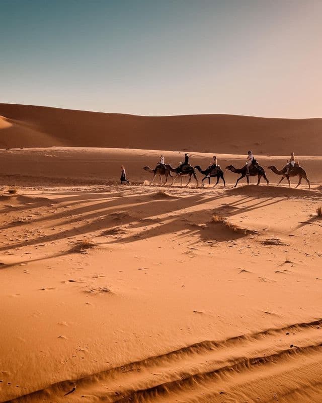 Un viaggio di gruppo WeRoad su una carovana di cammelli attraversa vaste dune di sabbia desertiche, proiettando lunghe ombre sotto un cielo limpido.