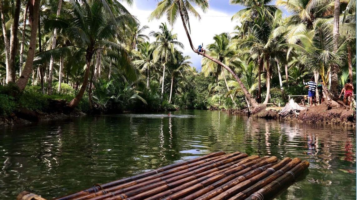 Viaje en grupo de WeRoad por un río en la selva, con gente nadando, sentada en una palmera inclinada y una balsa de bambú en primer plano.