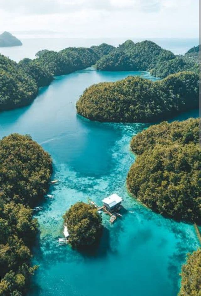 Una vista aérea de islas verdes y exuberantes dispersas en una laguna turquesa con una pequeña casa sobre pilotes.
