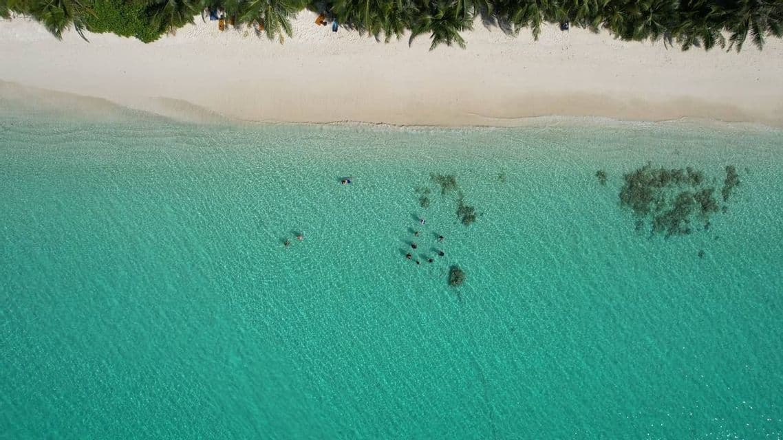 Vista aerea di un viaggio di gruppo WeRoad che fa snorkeling in acque cristalline color turchese, accanto a una spiaggia di sabbia bianca fiancheggiata da palme.