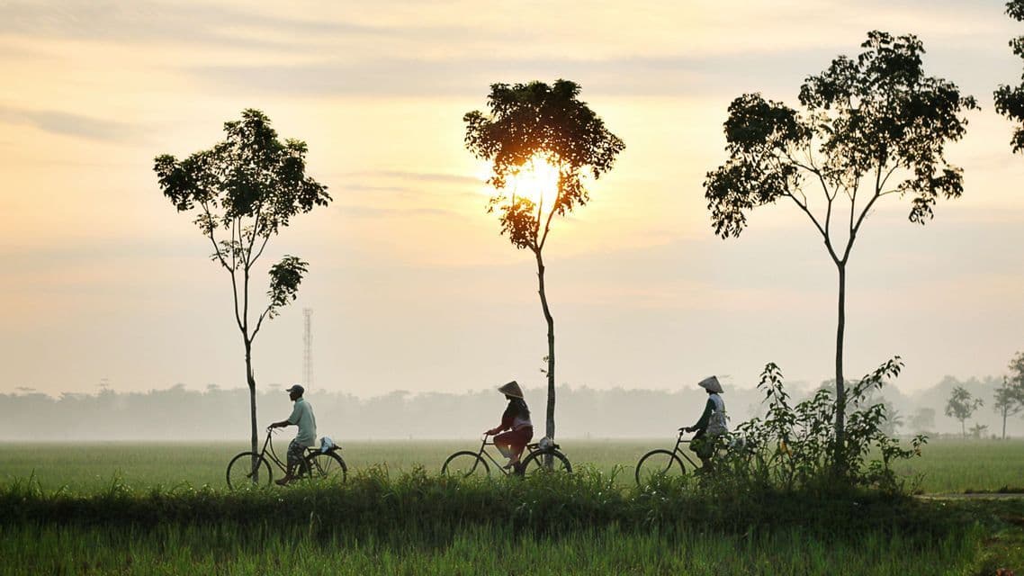 Un voyage en groupe WeRoad à vélo, en file indienne, sur un sentier traversant des champs verdoyants au lever du soleil.
