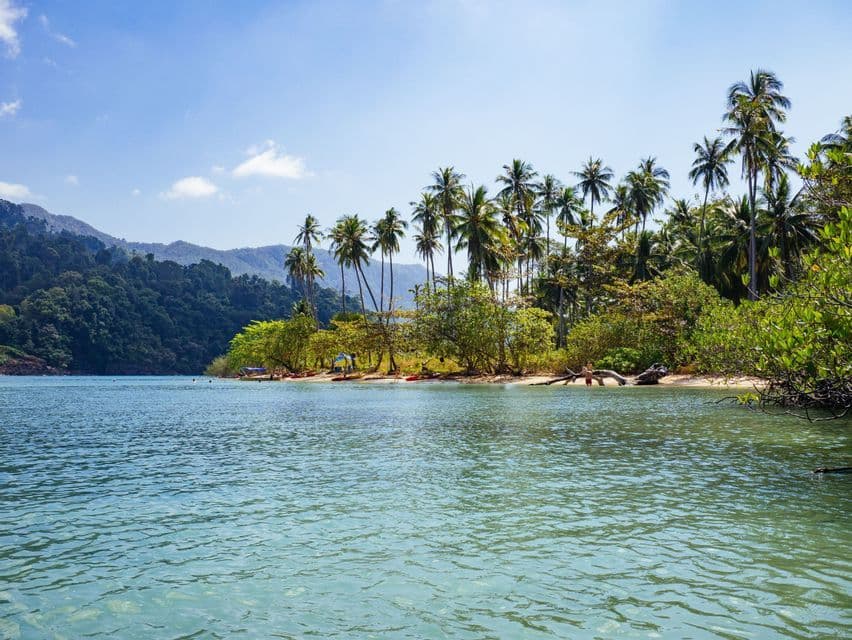 Una caletta tropicale con acqua cristallina turchese che lambisce una spiaggia sabbiosa fiancheggiata da palme e montagne boscose.