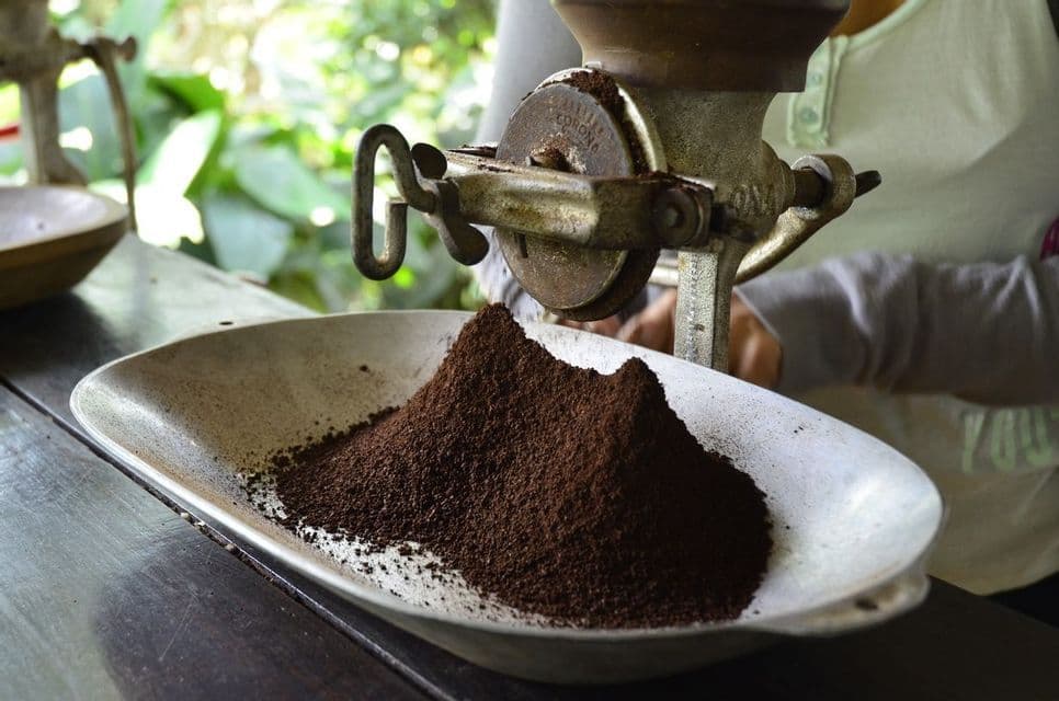 A vintage manual coffee grinder dispensing fresh coffee grounds into a white dish on a wooden table.