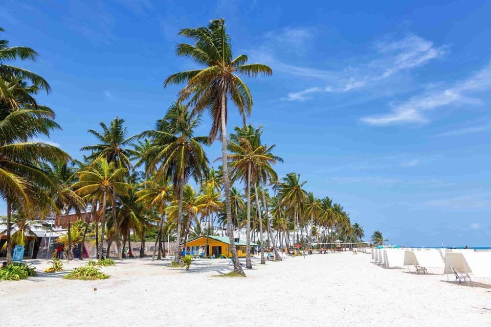 De grands palmiers bordent une plage de sable blanc avec un petit bâtiment jaune et des chaises de plage sous un ciel bleu clair.
