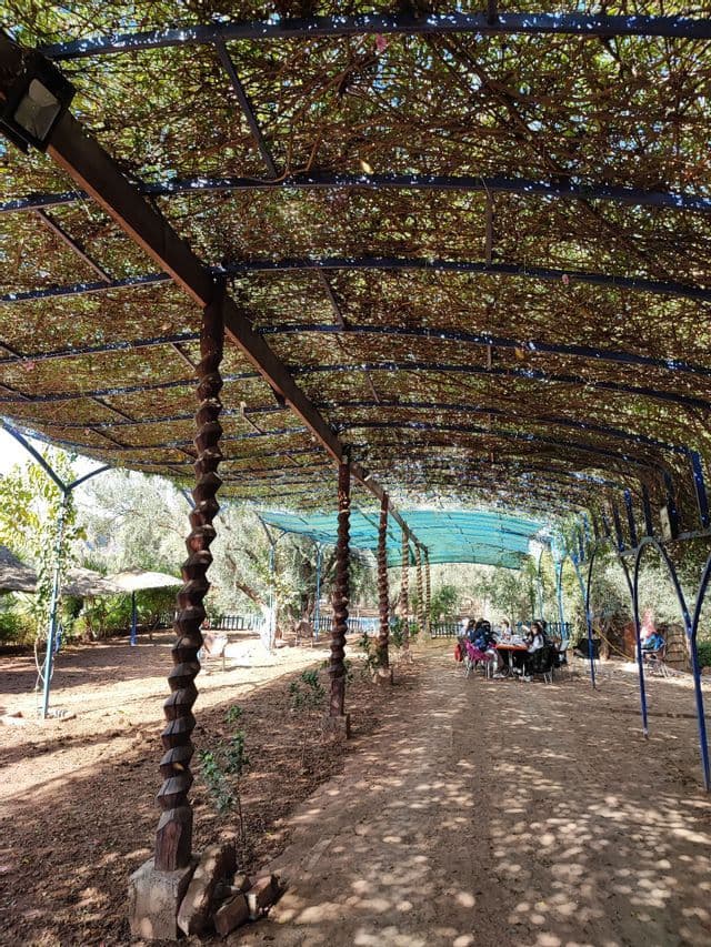 Un gruppo WeRoad è seduto a un tavolo sotto un lungo pergolato coperto di viti, sostenuto da pali di legno intagliati.