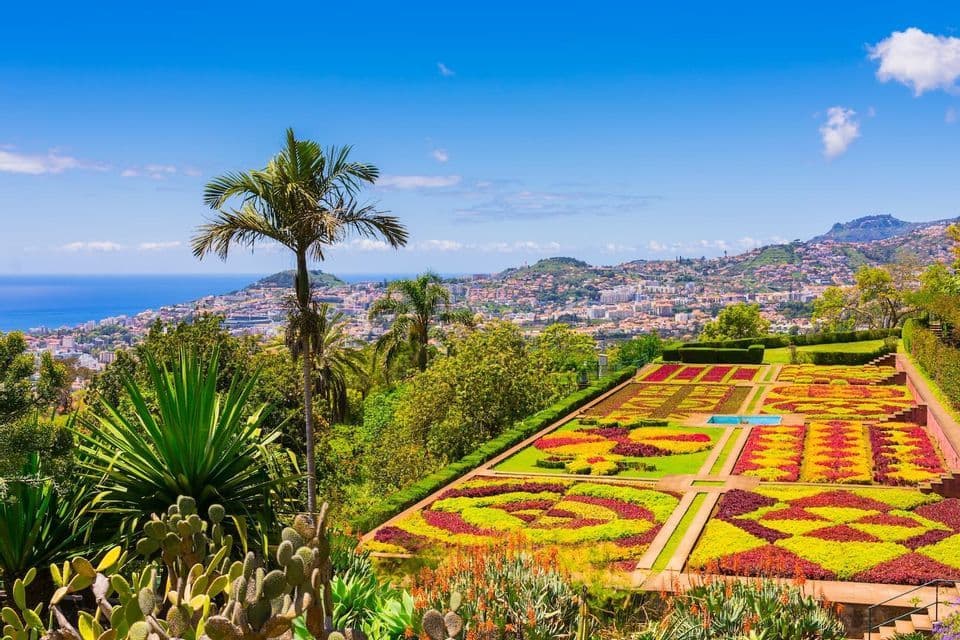 A terraced botanical garden with colorful, geometric flowerbeds overlooks a coastal city and the ocean under a blue sky.